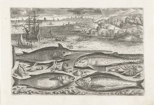 Cuatro peces en la playa Pesca (título de la serie) Iconos de Piscium vivae (título de la serie) de Adriaen Collaert