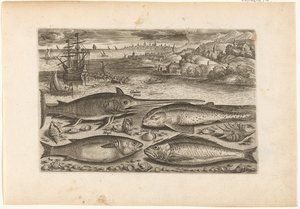 Cuatro peces en la playa
Fish (título de la serie)
Piscivm vivae icones (título de la serie) de Adriaen Collaert