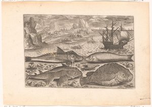 Cuatro peces en la playa
Fish (título de la serie)
Piscivm vivae icones (título de la serie) de Adriaen Collaert