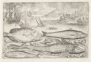 Cuatro peces en la playa
Fish (título de la serie)
Piscivm vivae icones (título de la serie) de Adriaen Collaert