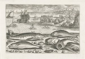 cinco peces en la playa Pesca (título de la serie) Iconos de Piscium vivae (título de la serie) de Adriaen Collaert