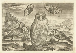 Aves y mariposas en un paisaje. Pájaros (título de la serie) Avium vivae (título de la serie) de Adriaen Collaert