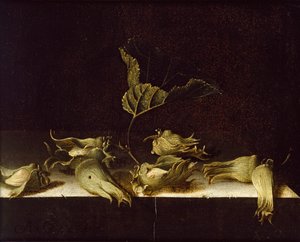 Naturaleza muerta con avellanas, 1696 de Adrian Coorte