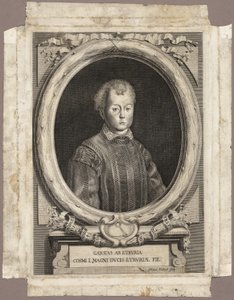 Cosimo I de Adriaen Haelwegh