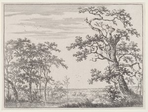Paisaje con un arroyo y un árbol antiguo