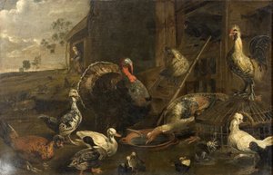 Gallinas, patos y un pavo