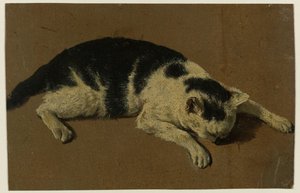 Gato tumbado con la cabeza entre las patas delanteras de Adriaen van de Velde (attributed to)