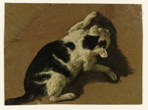 Gato jugando cerca de una pared de Adriaen van de Velde (attributed to)