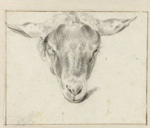Cabeza de oveja, de frente de Adriaen van de Velde (attributed to)