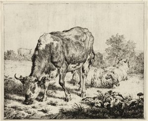 Una vaca y tres ovejas de Adriaen van de Velde
