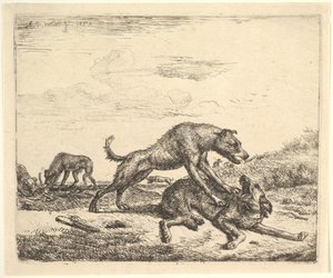 Perros Peleando, de Animales Diferentes