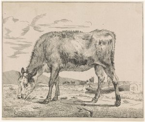 Ternero pastando Ganadería (título de la serie) de Adriaen van de Velde
