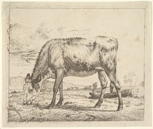 Ternero pastando, de Different Animals, 1658