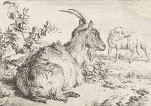 Cabra acostada, 1670 de Adriaen van de Velde