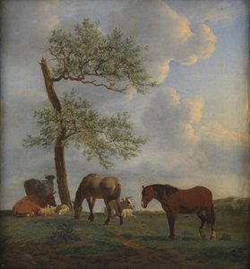 Pradera con caballos y ganado de Adriaen van de Velde