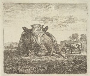 Vaca Recostada, de Animales Diferentes, 1657
