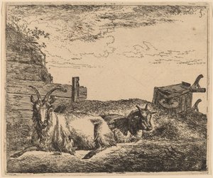 Cabras recostadas de Adriaen van de Velde