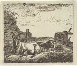 Cabras recostadas, de Animales Diferentes de Adriaen van de Velde