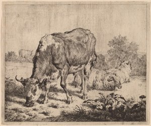 Toro manchado y tres ovejas de Adriaen van de Velde
