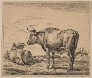  de Adriaen van de Velde