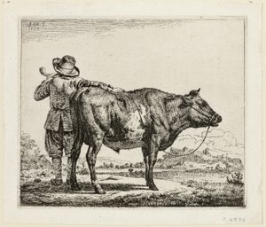 El pastor y el toro