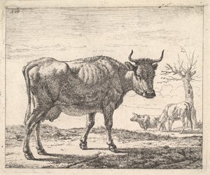 Tres vacas de Adriaen van de Velde