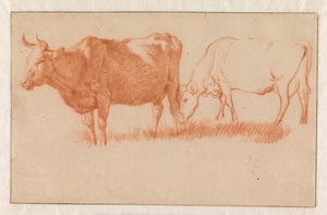 Dos vacas de Adriaen van de Velde