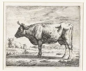 dos vacas y una oveja Diferentes animales (título de la serie)