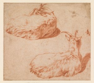 Dos estudios de una cabra tumbada, vista de espaldas (verso). Cabra de pie (contraprueba) de Adriaen van de Velde