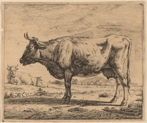 Dos vacas y una oveja de Adriaen van de Velde