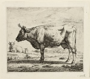 Dos vacas y una oveja