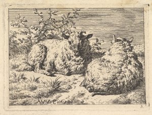 Dos ovejas recostadas, 1670 de Adriaen van de Velde