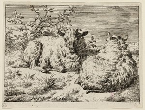 Dos ovejas de Adriaen van de Velde