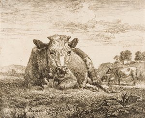  de Adriaen van de Velde
