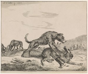 perros de pelea Ganadería (título de la serie)