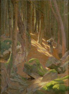 Crepúsculo en un bosque