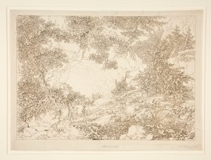 Paisaje de Adrian Zingg