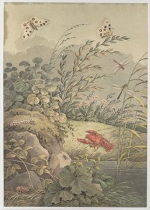 Pieza de agua con cangrejo, mariposas, libélulas y espino cerval de mar, c. 1800 de Adrian Zingg