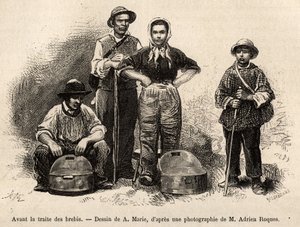 Antes del comercio de ovejas, todo el personal de la granja estaba empleado en esta tarea, niño, sirviente, bajo la supervisión del pastor, se recogía la leche en las seillas (vaso de metal estañado), grabado después de un dibujo de A.Marie, ilustrando un  de Adrien Emmanuel Marie