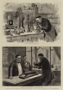 Experimentos del señor Pasteur para la cura de la hidrofobia