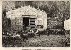 El comercio de ovejas, todo el personal de la granja estaba empleado en esta tarea, niño, sirviente, bajo la supervisión del pastor, grabado después de un dibujo de A.Marie, ilustrando un viaje a Roquefort y sus alrededores, por Adrien Roques y Jules Chart