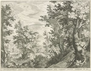 paisaje forestal