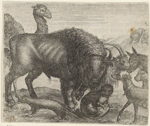Fábula del bisonte y los otros animales de Egidius  Sadeler (II)