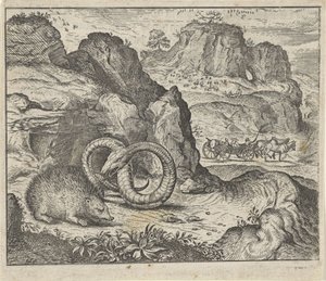 Fábula del erizo y la serpiente