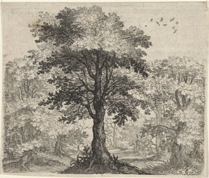 Fábula del olmo y el roble de Egidius  Sadeler (II)