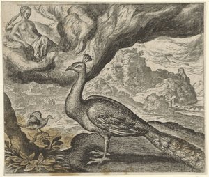 Fábula del pavo real y el ruiseñor de Egidius  Sadeler (II)