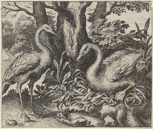 Fábula del cisne y la cigüeña de Egidius  Sadeler (II)