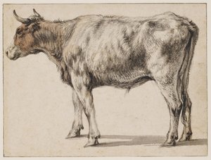  de Aelbert Cuyp