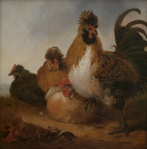 de Aelbert Cuyp