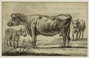  de Aelbert Cuyp